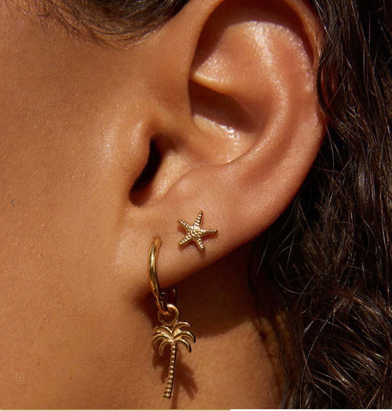 Starfish Gold Studs - Arms of Eve