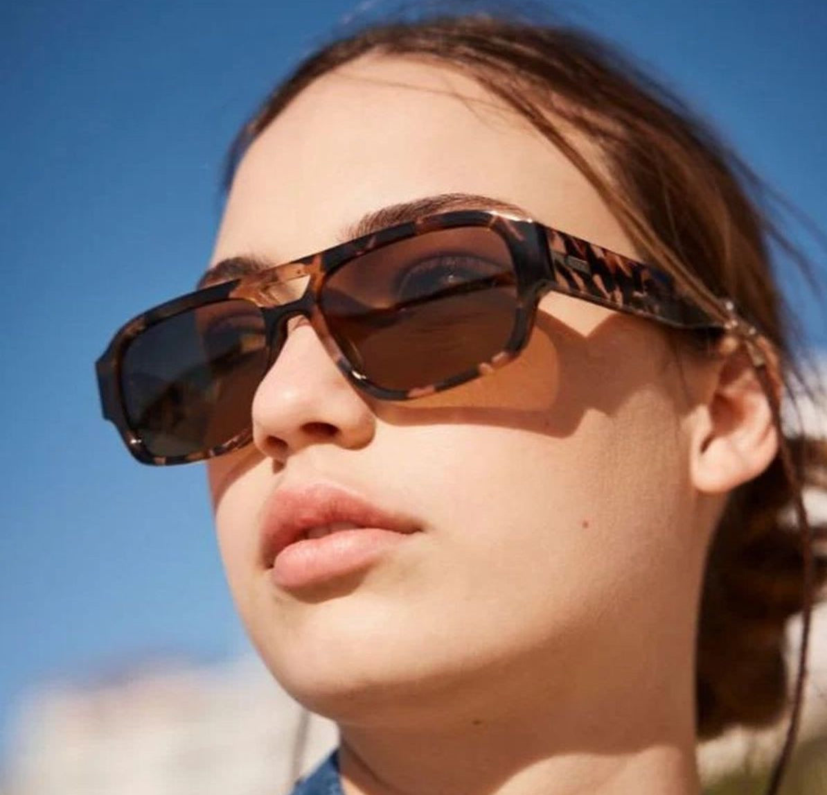 Atlas : Pebble Tort/Brown Polar Sito Shades