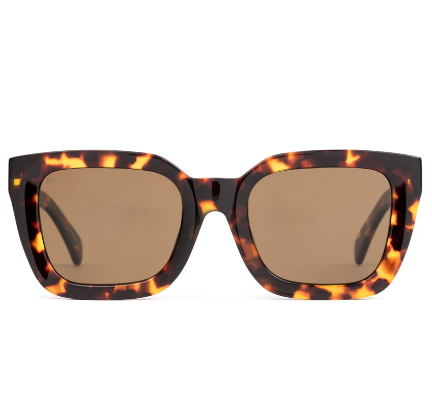 Harlow: Maple Tort/Brown Polar Sito Shades