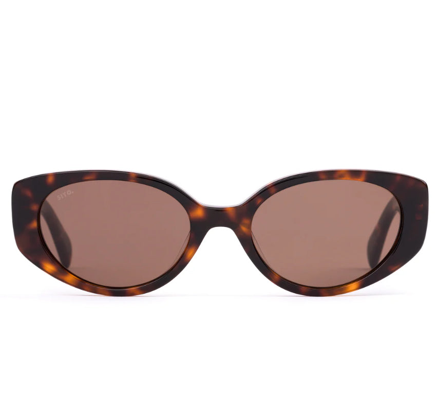 Aura : Honey Tort/Coffee Sito Shades
