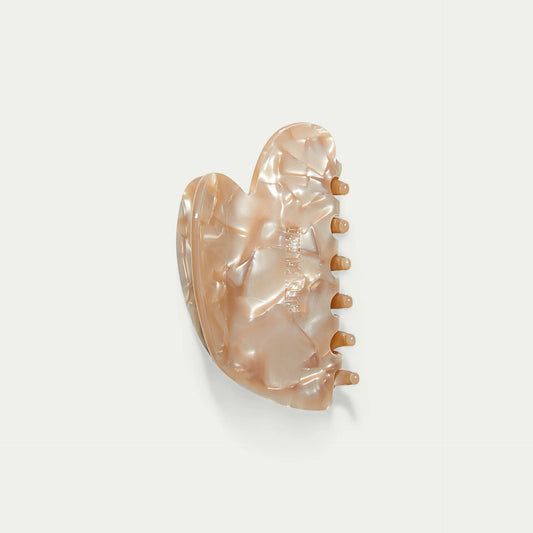 Medium Scuptural Claw Abalone