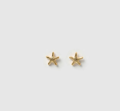 Starfish Gold Studs - Arms of Eve