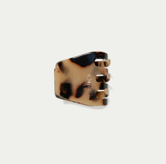 Petite Blonde Tortoiseshell - Kitty Paloma