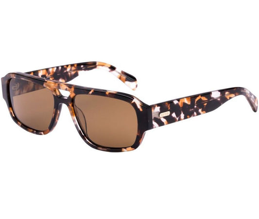 Atlas : Pebble Tort/Brown Polar Sito Shades