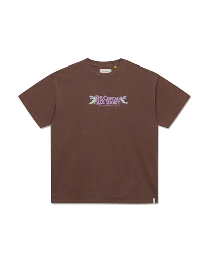 ANGELS TEE chestnut