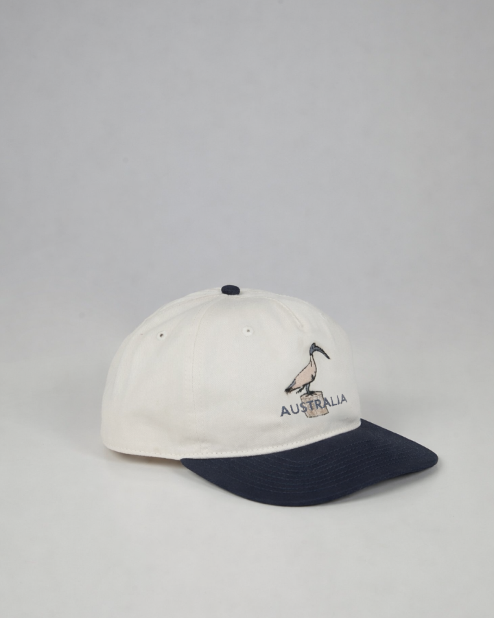 BIN CHICKEN CAP navy