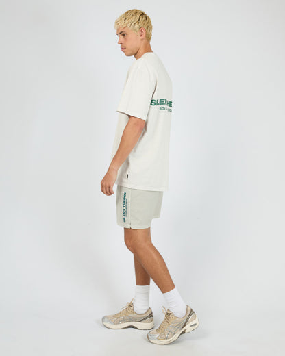 ESSENTIAL THEORY SWIM SHORT mist
